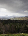 Stampa D'autore - Parco nazionale del Pollino