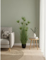 Pianta Papiro 9 steli con vaso - H 125 cm Verde