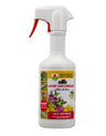 Olio di Lino - Cifo