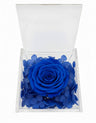 Rosa Stabilizzata Blu in Cofanetto