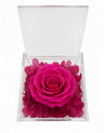 Rosa Stabilizzata Fucsia in Cofanetto