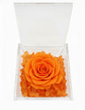 Rosa Stabilizzata Arancio in Cofanetto