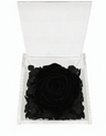 Rosa Stabilizzata Nera in Cofanetto