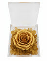 Rosa Stabilizzata Oro in Cofanetto