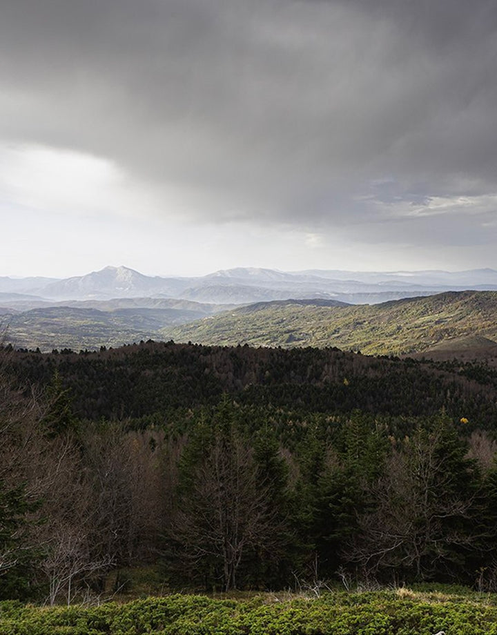 Stampa D'autore - Parco nazionale del Pollino
